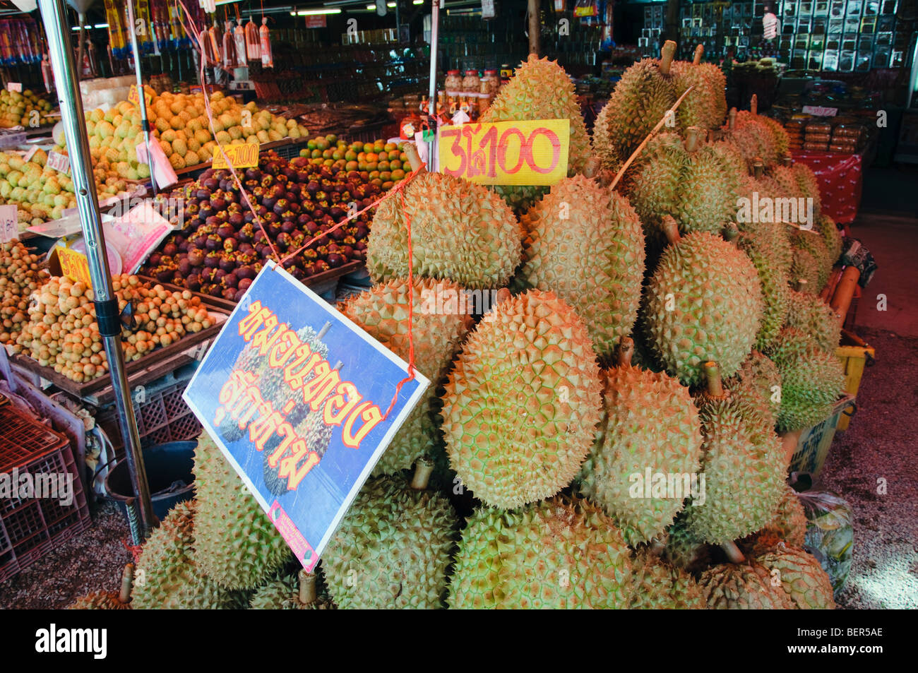 Durian – king of the tropical fruit. Pungent sweet custard like flesh in segmented pods from a hard and spiky fruit Stock Photo