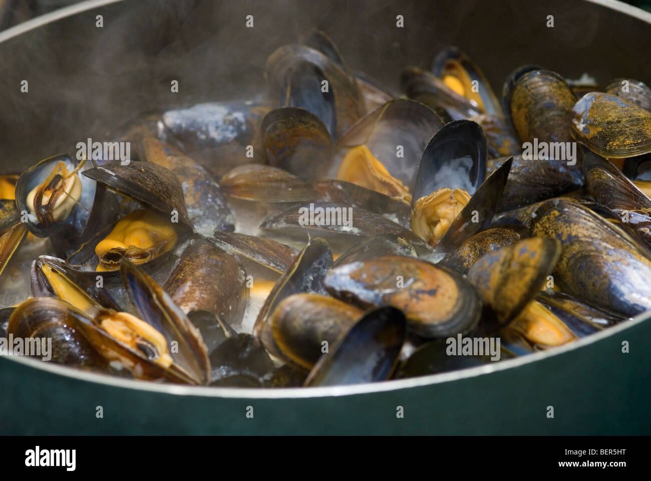 Mussels steaming in a pan Stock Photo