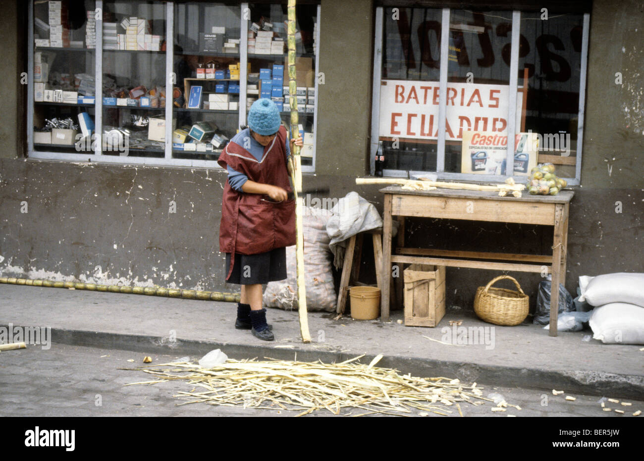 Woman chops the outer covering off a stalk of sugar cane Upland Ecuador market town. Stock Photo