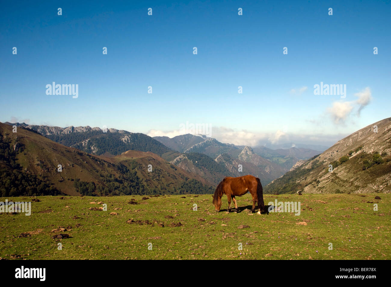 Natural landscape in Asturias, Spain. Stock Photo
