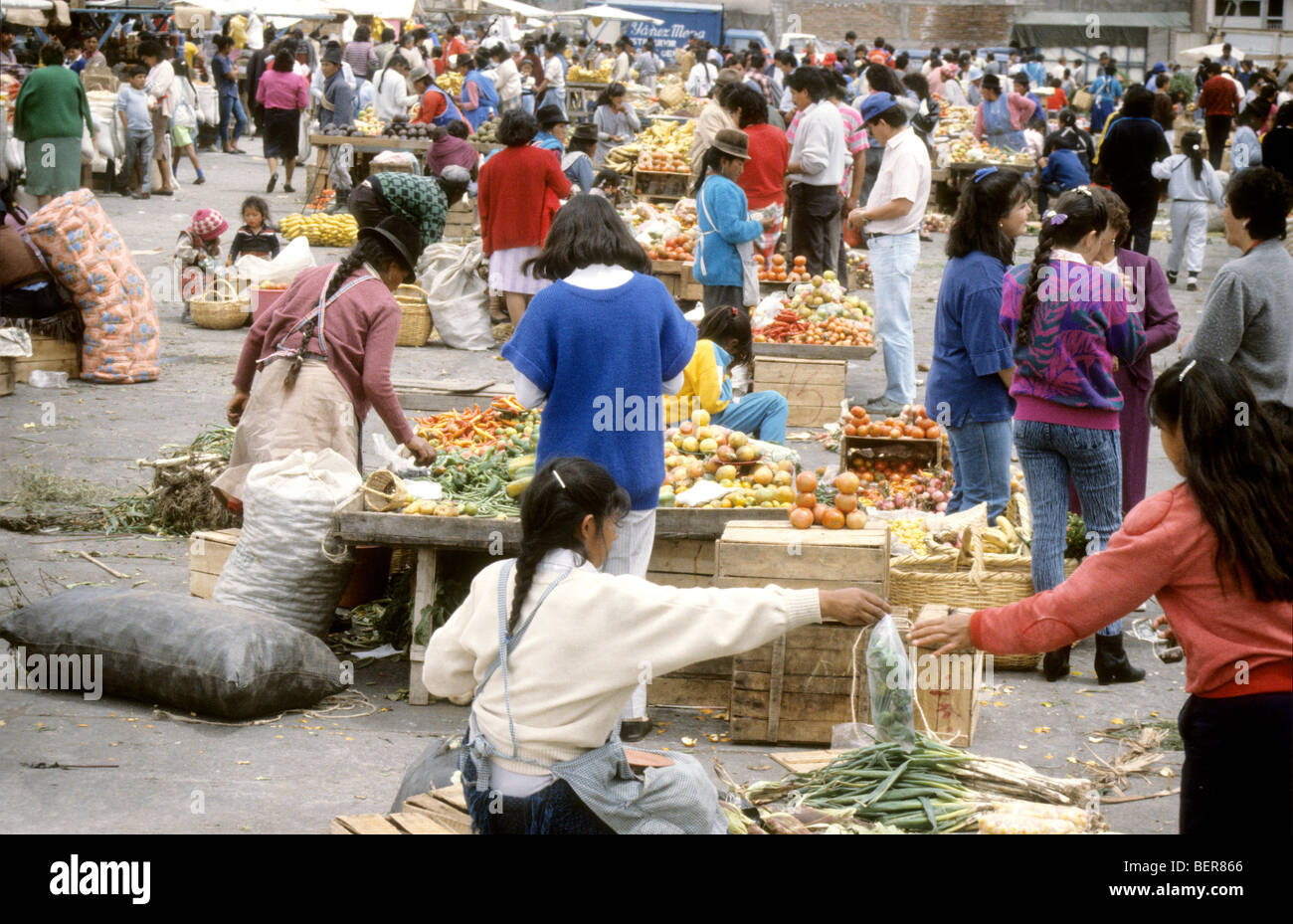 Line of vegetable sellers in local market  upland Ecuador Stock Photo