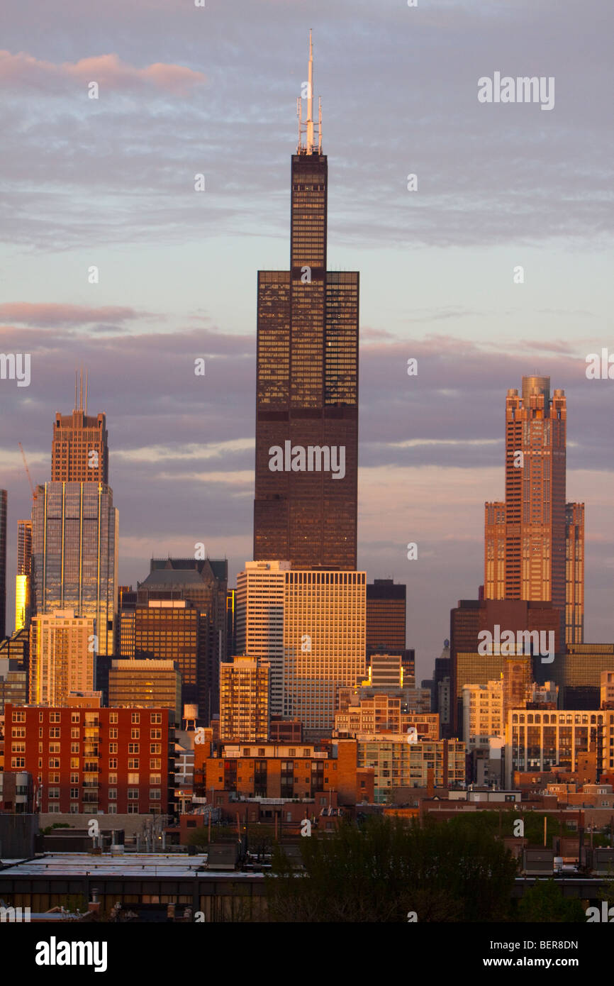 The last rays of sun reflect off the Sears (Willis) Tower in Chicago, IL on a warm summer evening. Stock Photo