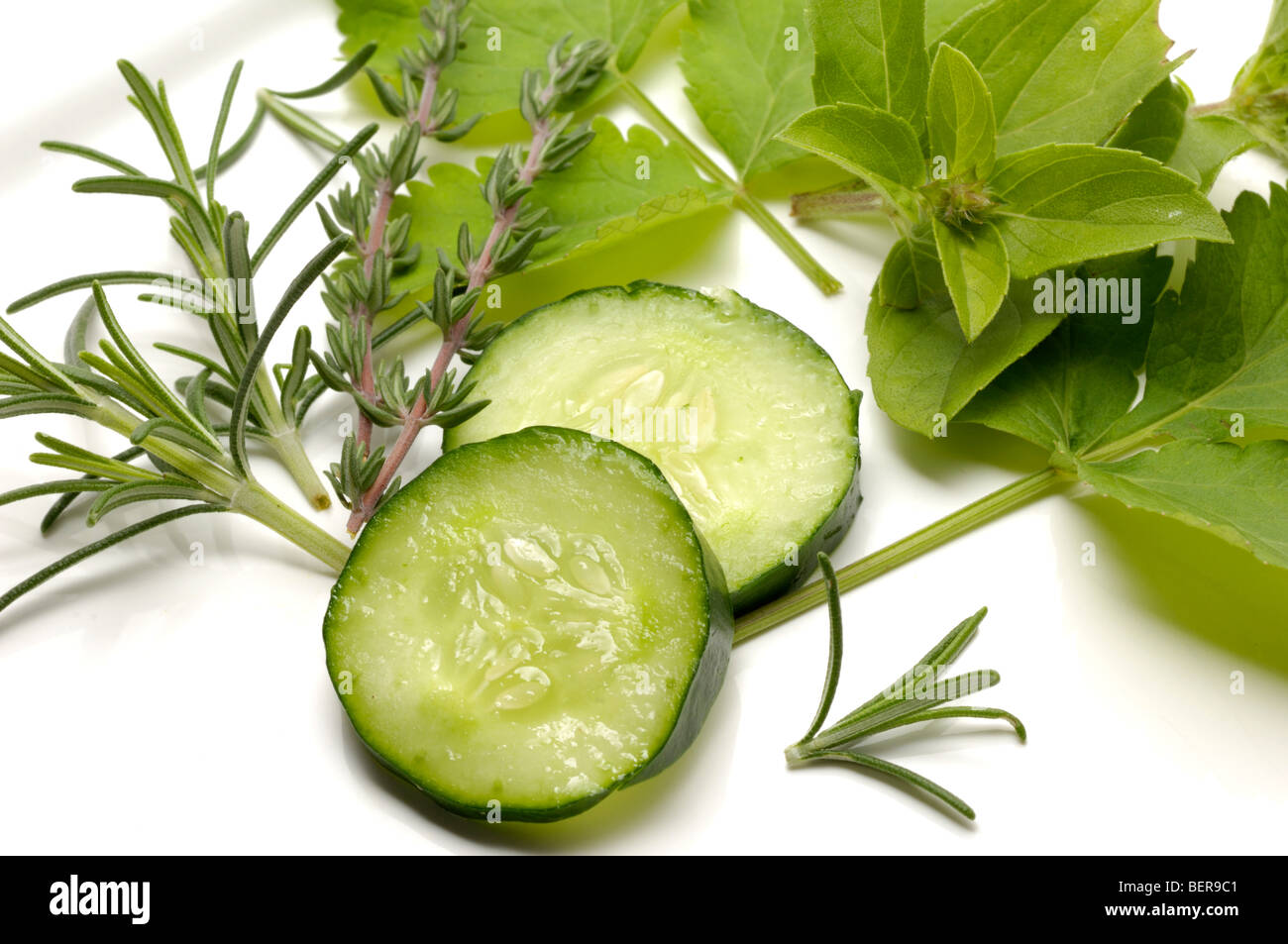 Pepino cucumis sativus hi-res stock photography and images - Alamy