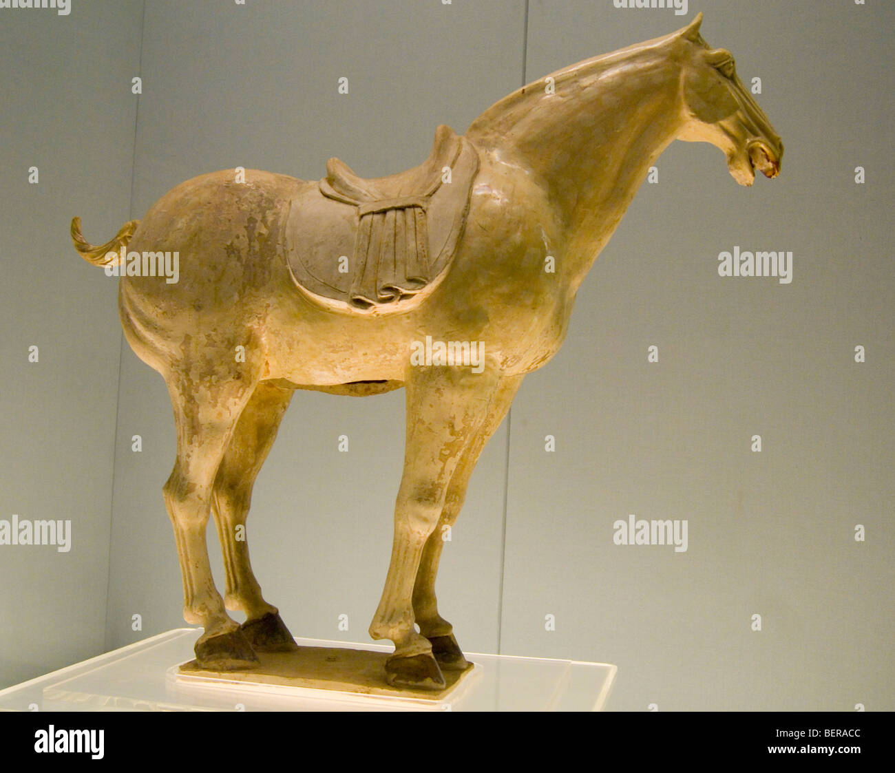 Shang Dynasty porcelain horse, Shanghai Museum, China Stock Photo