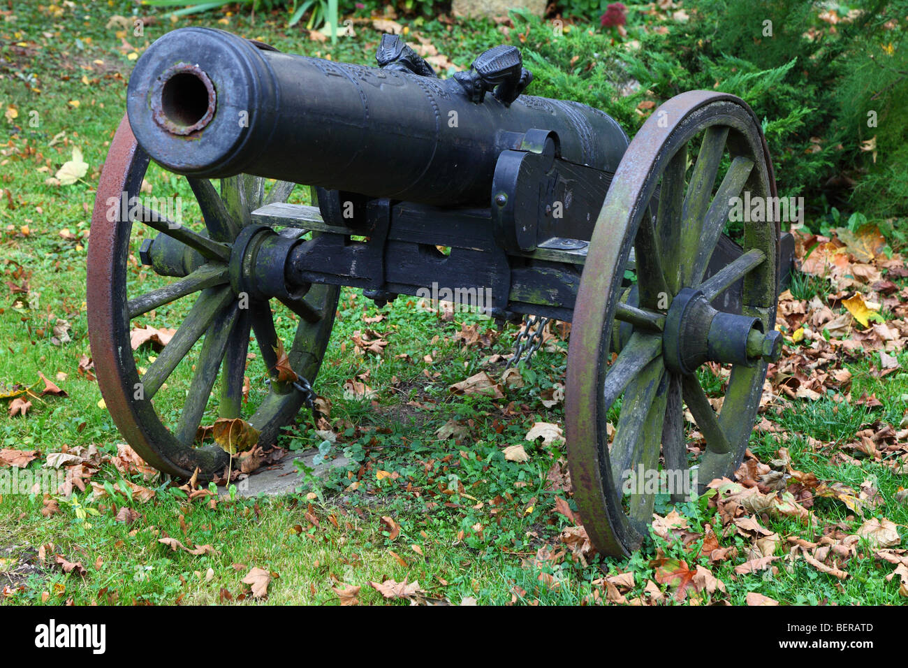 Cannon Weapon History