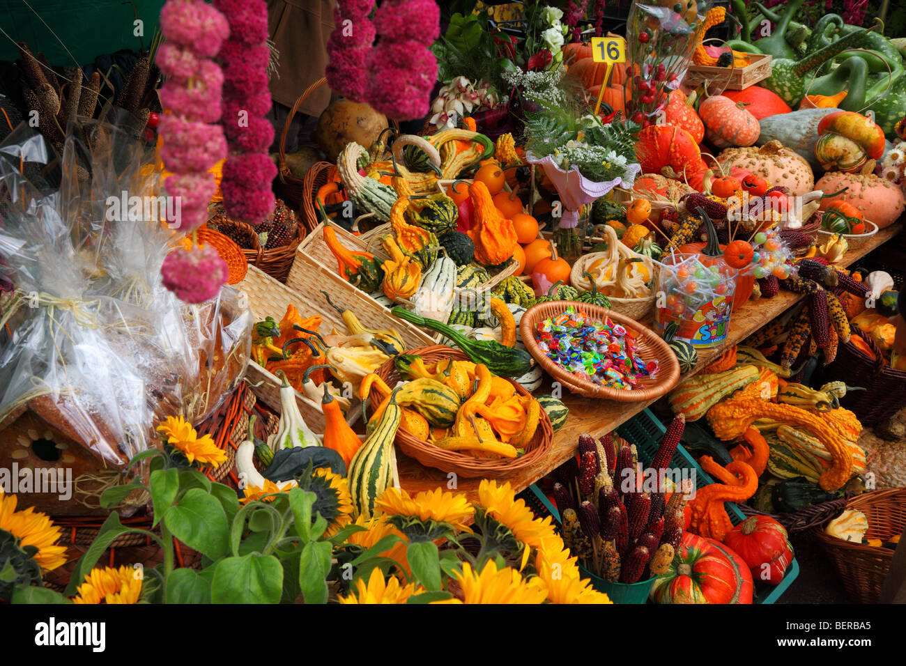 Multicolor pumpkins displayed on a stall Stock Photo