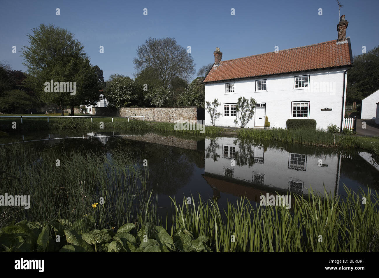 Burton cottage and pond near Beverley East Yorkshire UK Stock