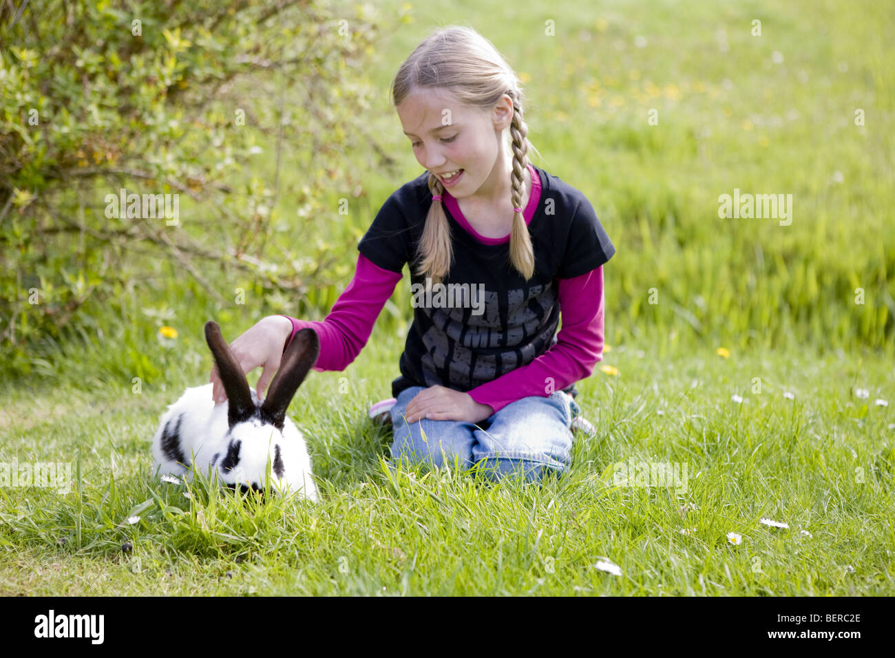 Rabbits grazing uk hi-res stock photography and images - Alamy