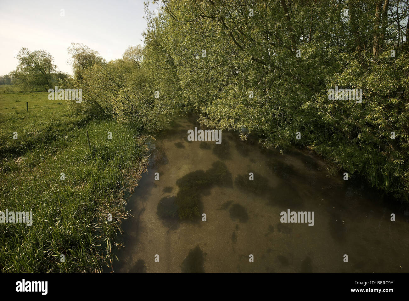 West Beck chalk river stream, Wansford, Driffield, East Yorkshire, UK Stock Photo