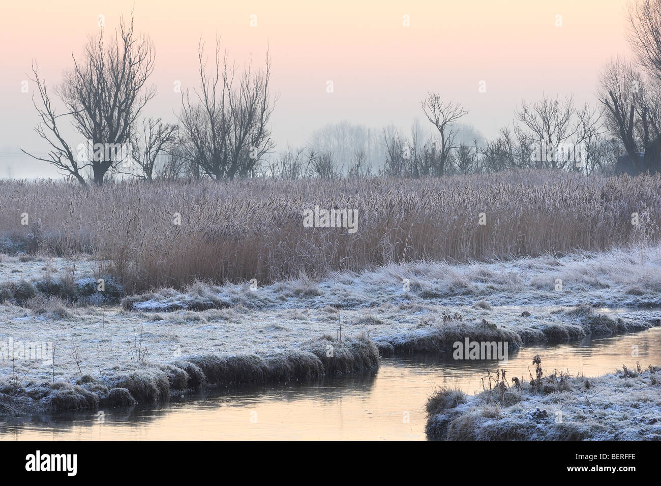 Frozen pool in meadowland in Uitkerkse polder, Belgium Stock Photo