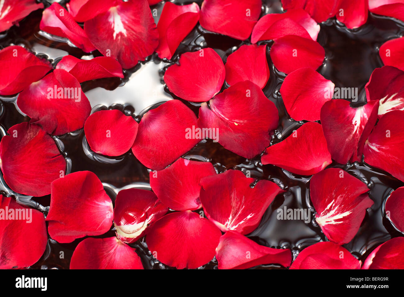 Rose petals in water Stock Photo Alamy