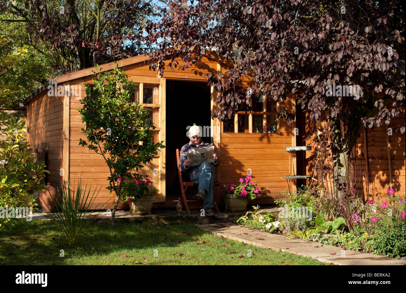 Man relaxes and reads newspaper in garden shed Stock Photo