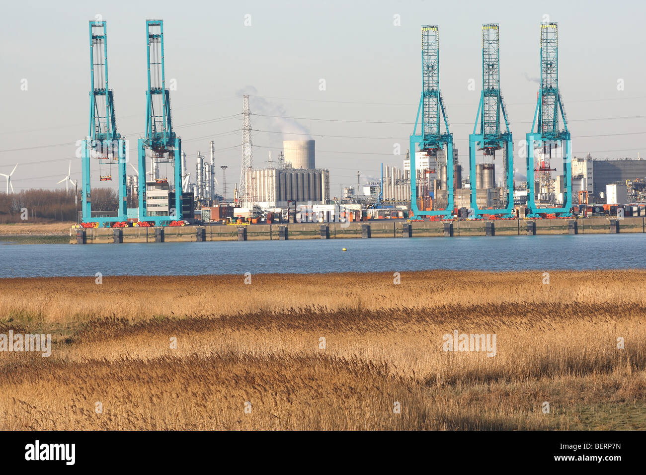 PaArdenneschor and cranes in industrial estate, harbour of Antwerp, Belgium Stock Photo