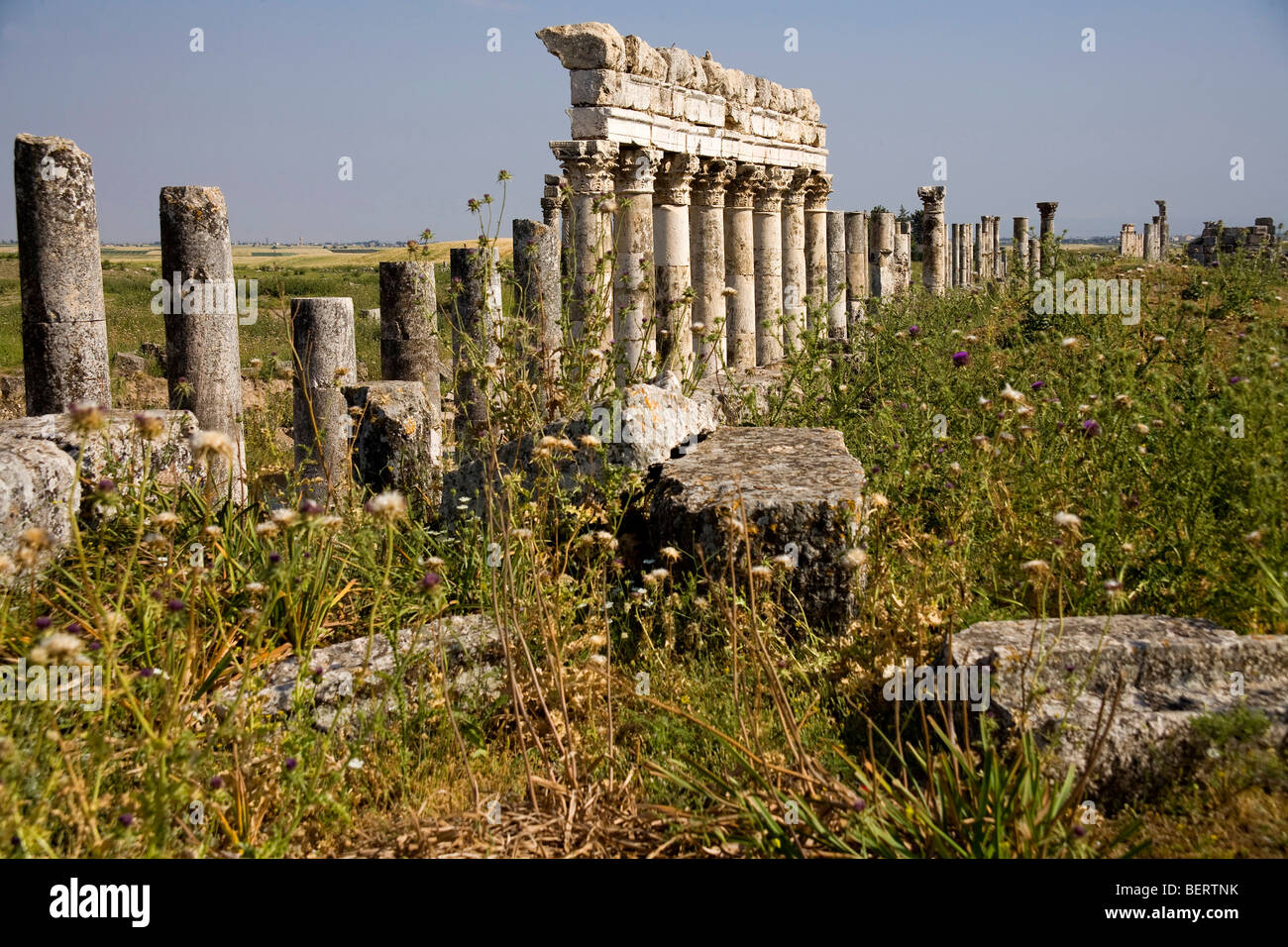 Roman ruins in the historic site of Apamea, Syria, Middle East, Asia Stock Photo