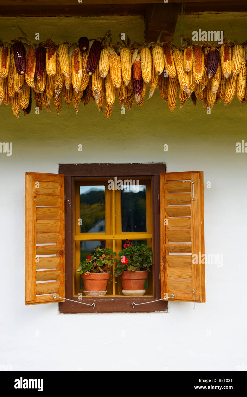 Traditional Hungarian farm house of the Őrseg ( Orseg ) region with corn drying, Hungary Stock Photo