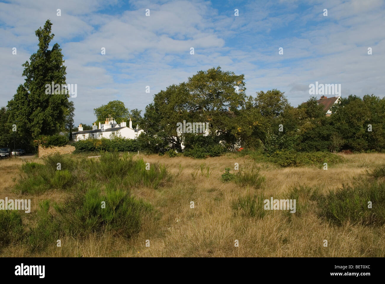 Barnes Common London Stock Photos Barnes Common London Stock