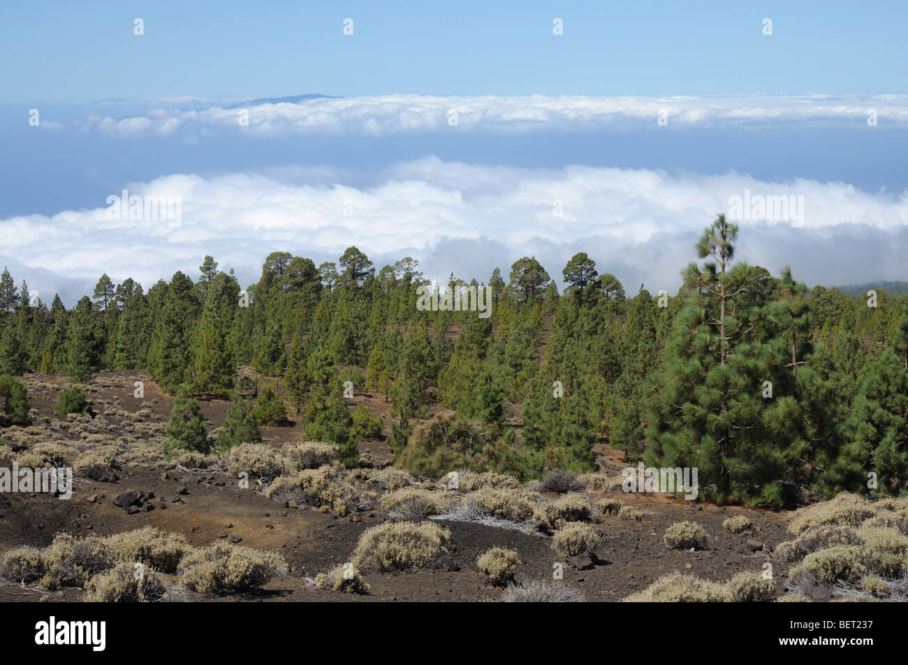 Landscape on Canary Island Tenerife, Spain Stock Photo