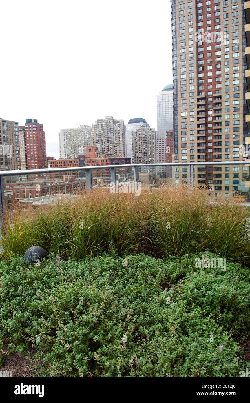 Green roof on The Visionaire, a green building, in Battery Park City on Saturday, October 10, 2009. (© Frances M. Roberts) Stock Photo