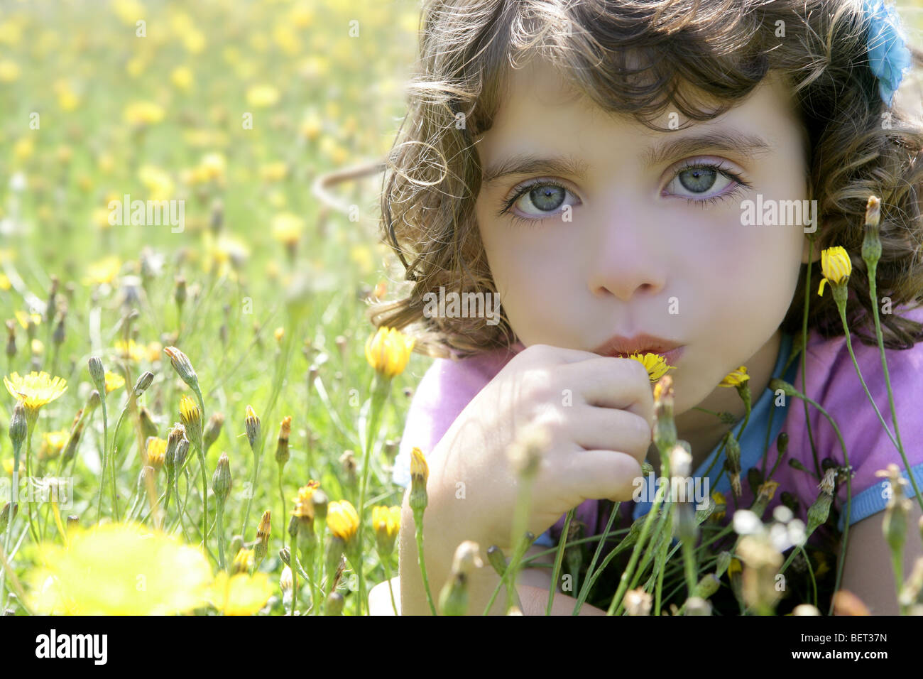 Adorable little girl smell flower in the country meadow Stock Photo - Alamy