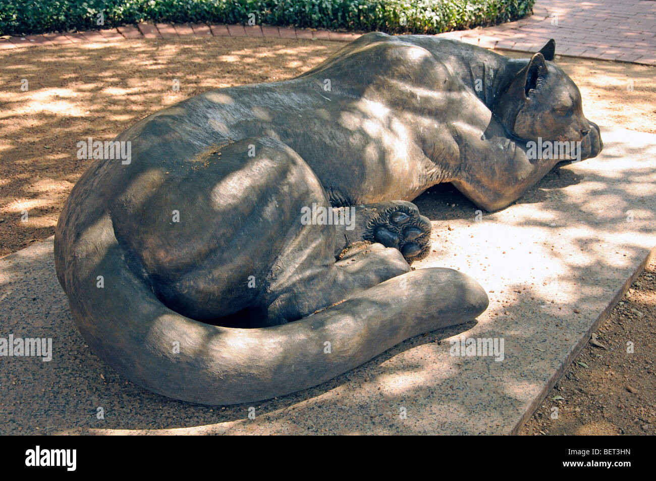 Sleeping panther statue in Fort Worth, Texas Stock Photo - Alamy
