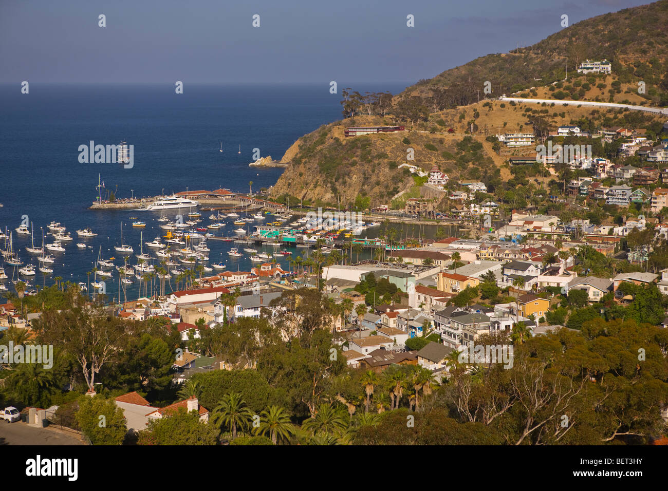 AVALON, CA, USA Harbor and town of Avalon, Santa Catalina Island