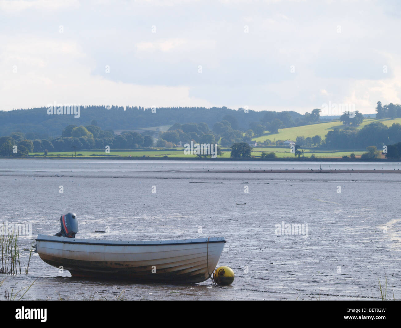 The river Exe estuary at low tide. Stock Photo