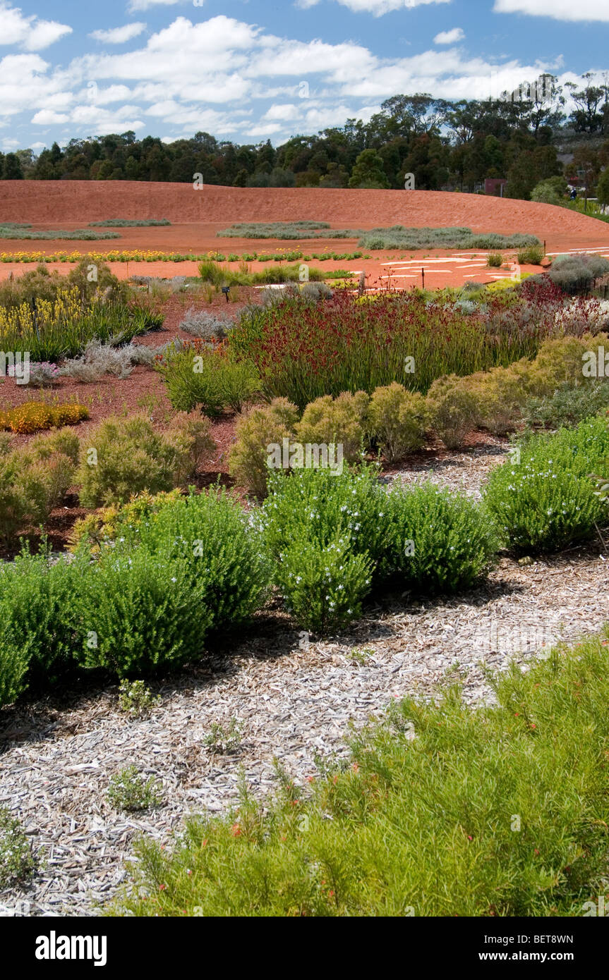 Botanic Gardens, Cranbourne, Victoria, Australia Stock Photo