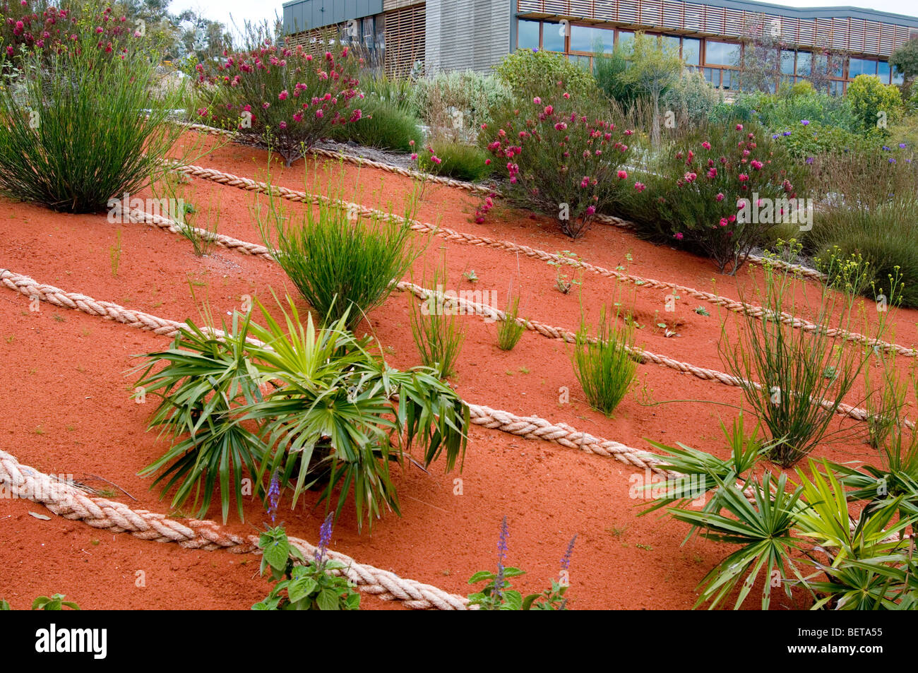 Botanic Gardens, Cranbourne, Victoria, Australia Stock Photo