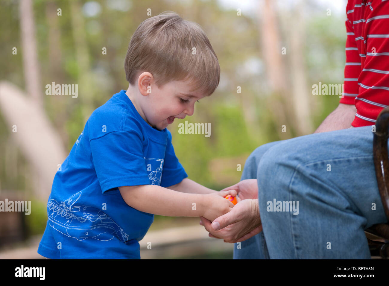 Happy excited 2-3 year old blond Caucasian boy outdoors, hands in dads cupped hands opening easter egg shallow depth of field Stock Photo