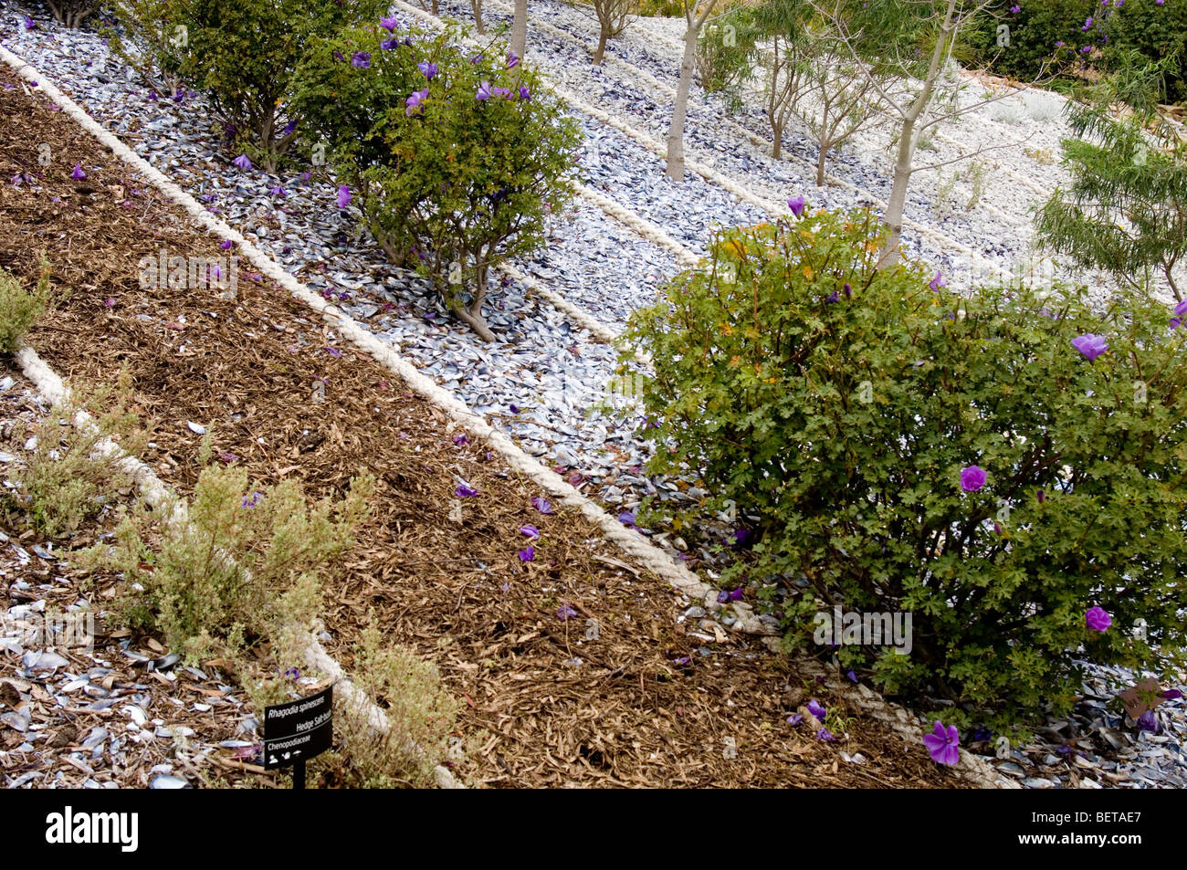 Botanic Gardens, Cranbourne, Victoria, Australia Stock Photo
