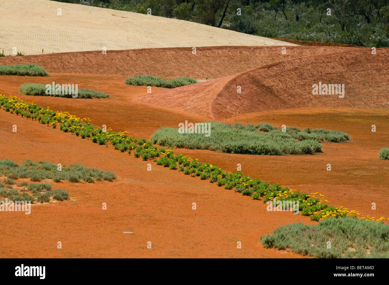 Botanic Gardens, Cranbourne, Victoria, Australia Stock Photo