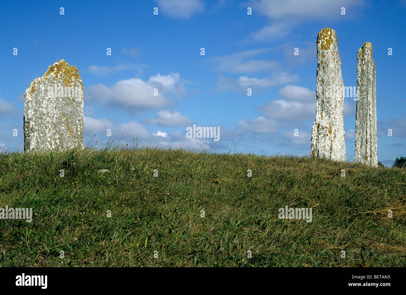 Standing stones at burial ground, Oland, Sweden Stock Photo