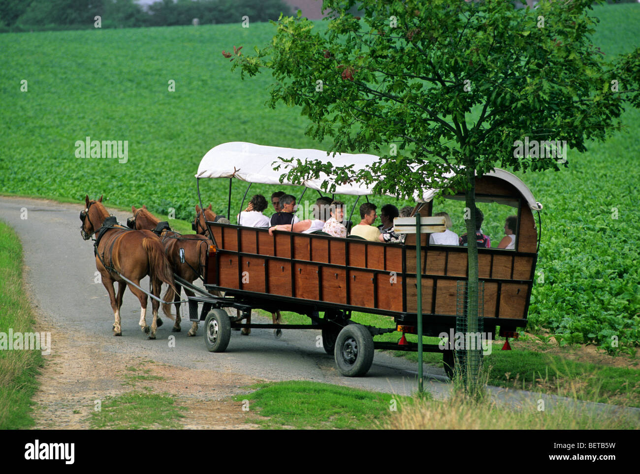 Covered wagon pulled by horses hires stock photography and images Alamy