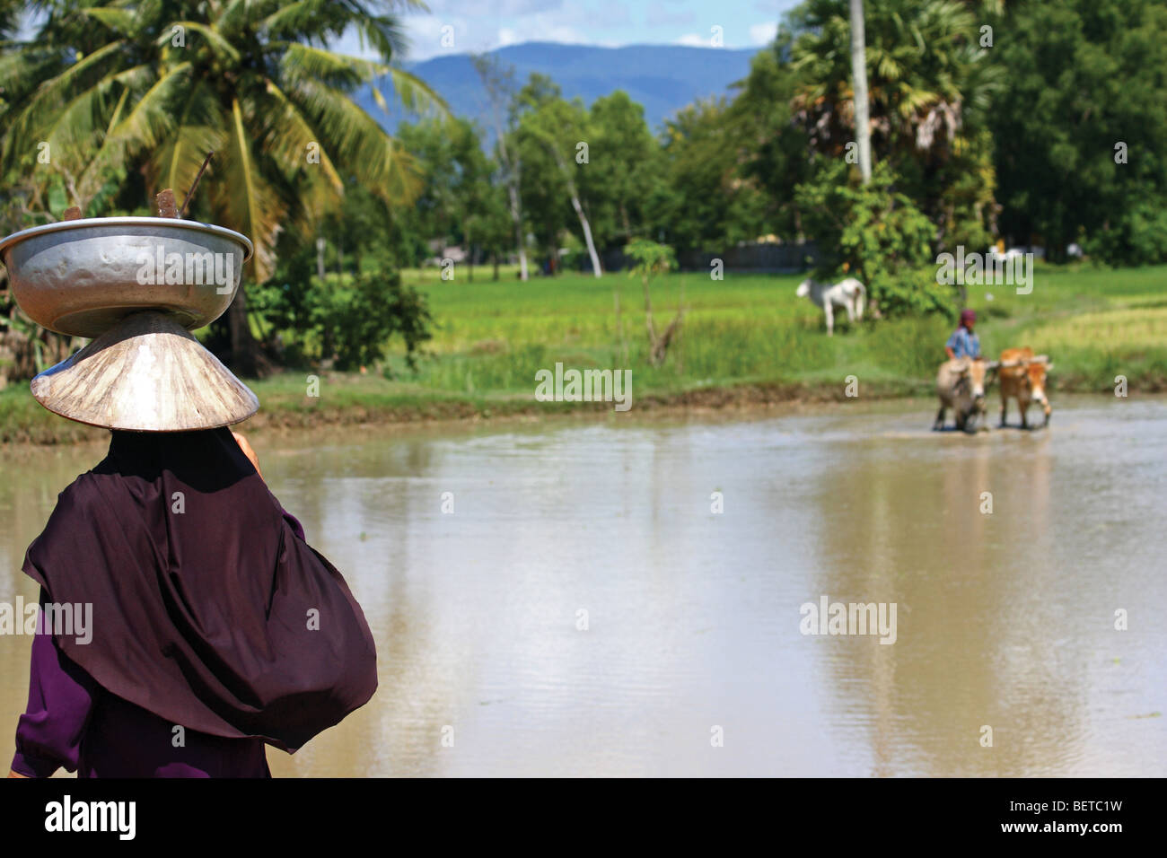 Cambodian hat hi-res stock photography and images - Alamy