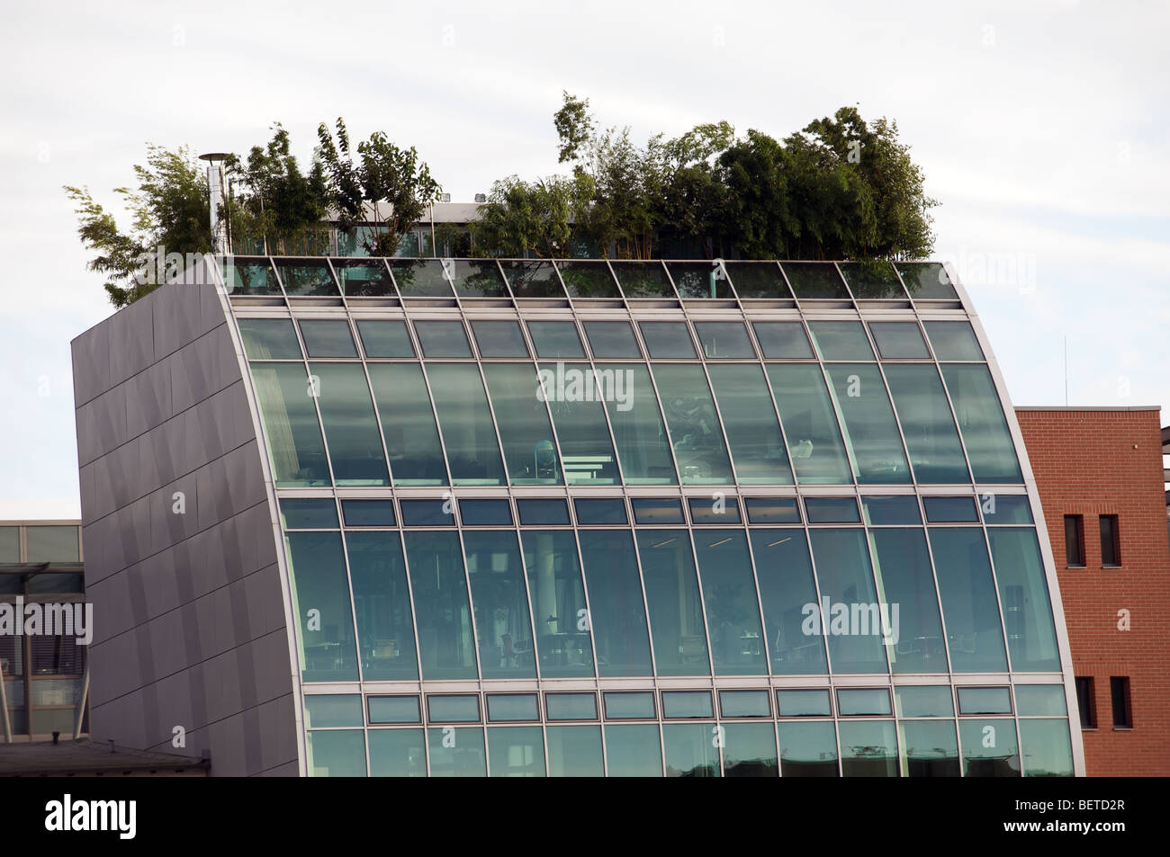 Roof garden of the Haus for den wind, Media Harbour, Dusseldorf, Germany. Stock Photo