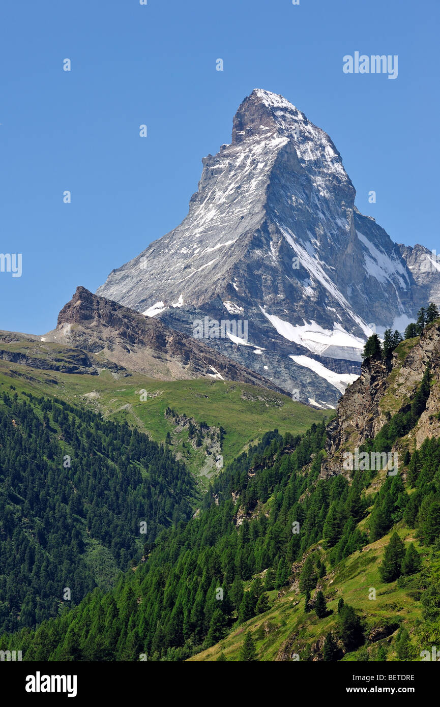 Summit of Matterhorn mountain with alpine meadows and pine forests near Zermatt, Swiss Alps, Valais / Wallis, Visp, Switzerland Stock Photo