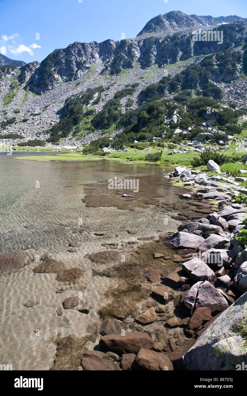 Edge of Fish Lake in summer, Pirin Mountains, Bulgaria Stock Photo