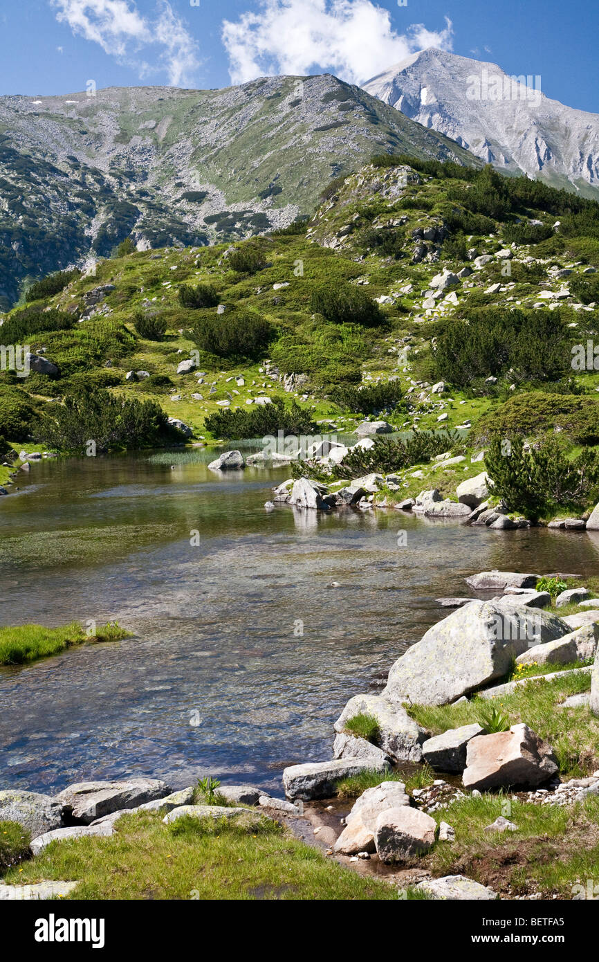 Small river in summer in the High Pirin, Bulgaria Stock Photo