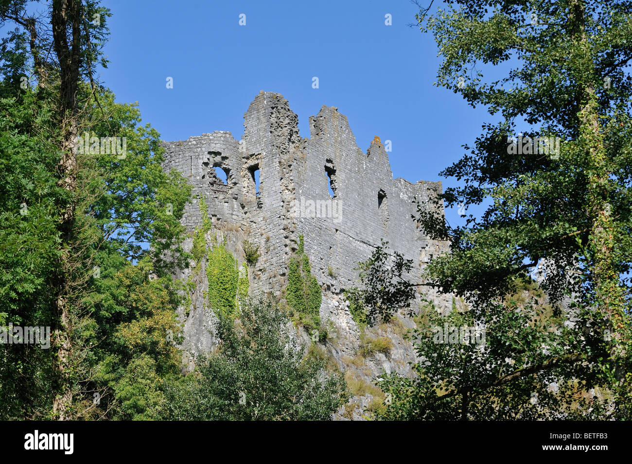 Ruins of the medieval Montaigle castle / Château de Montaigle at Falaën, Onhaye, Namur, Belgian Ardennes, Walloninia, Belgium Stock Photo