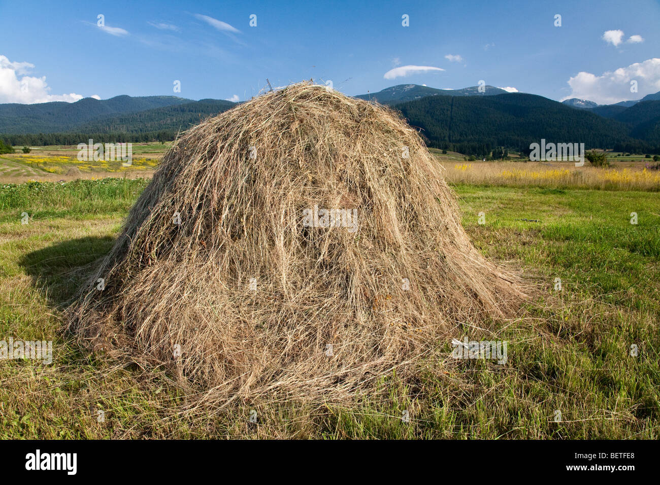 Straw, Hay & Rushes in Irish Folk Trad Traditional hay rick
