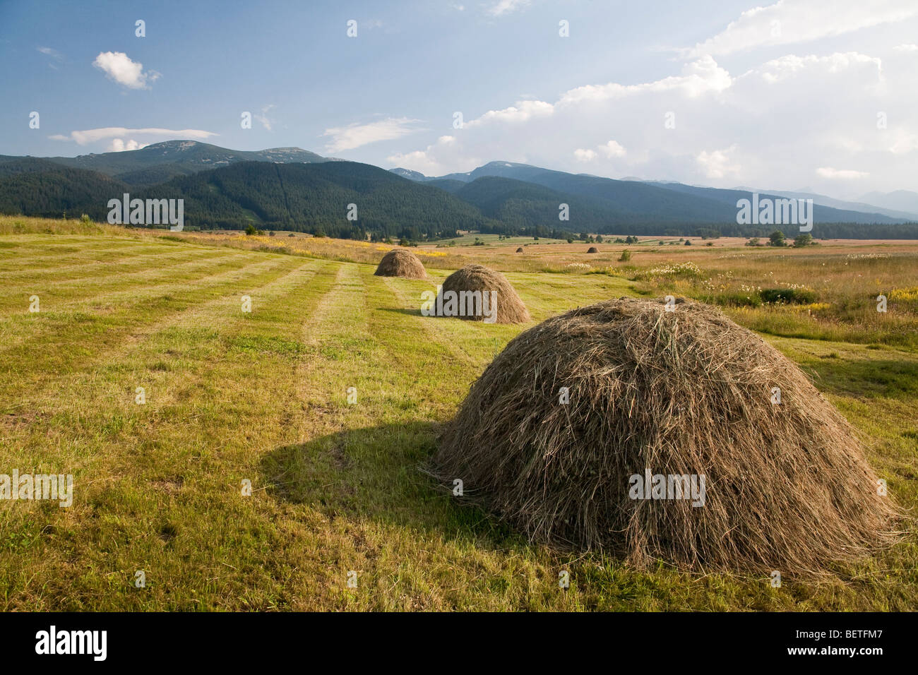 Traditional hayricks, Bulgaria Stock Photo