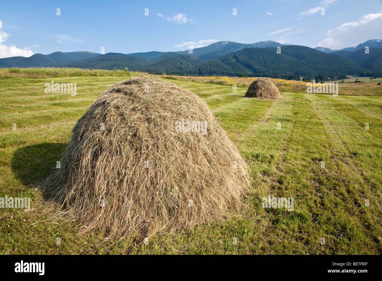 Hay ricks hires stock photography and images Alamy