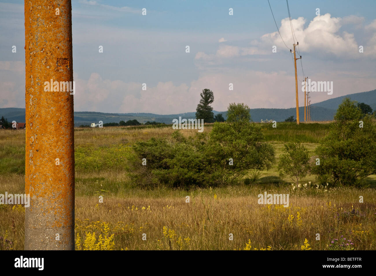 Lichen covered steel electricity pole, Bulgaria Stock Photo