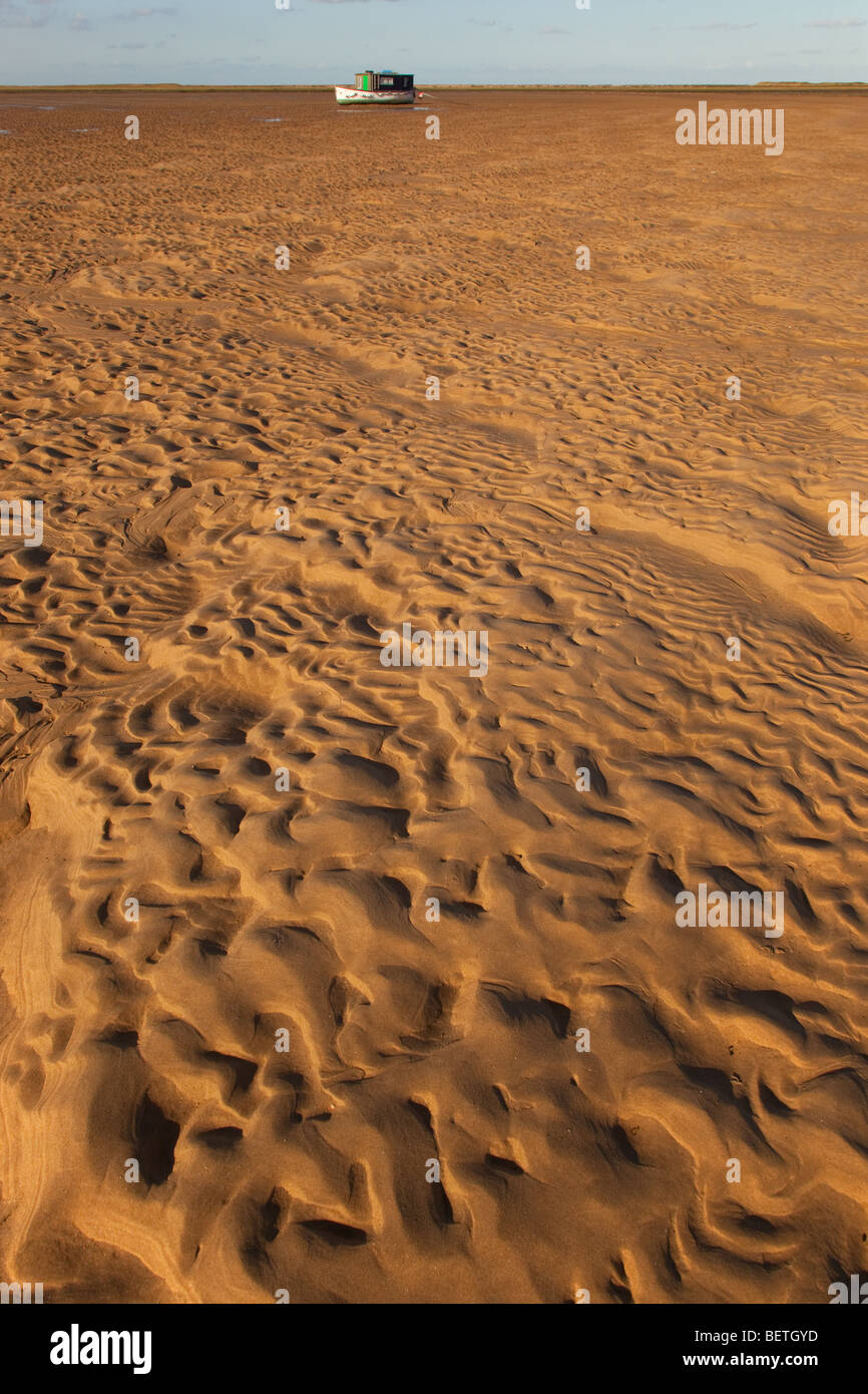 Exposed sand at low tide on Blakeney Point National Nature Reserve Norfolk Stock Photo