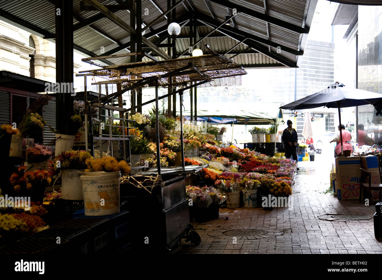 Cape Town Flower market Stock Photo Alamy
