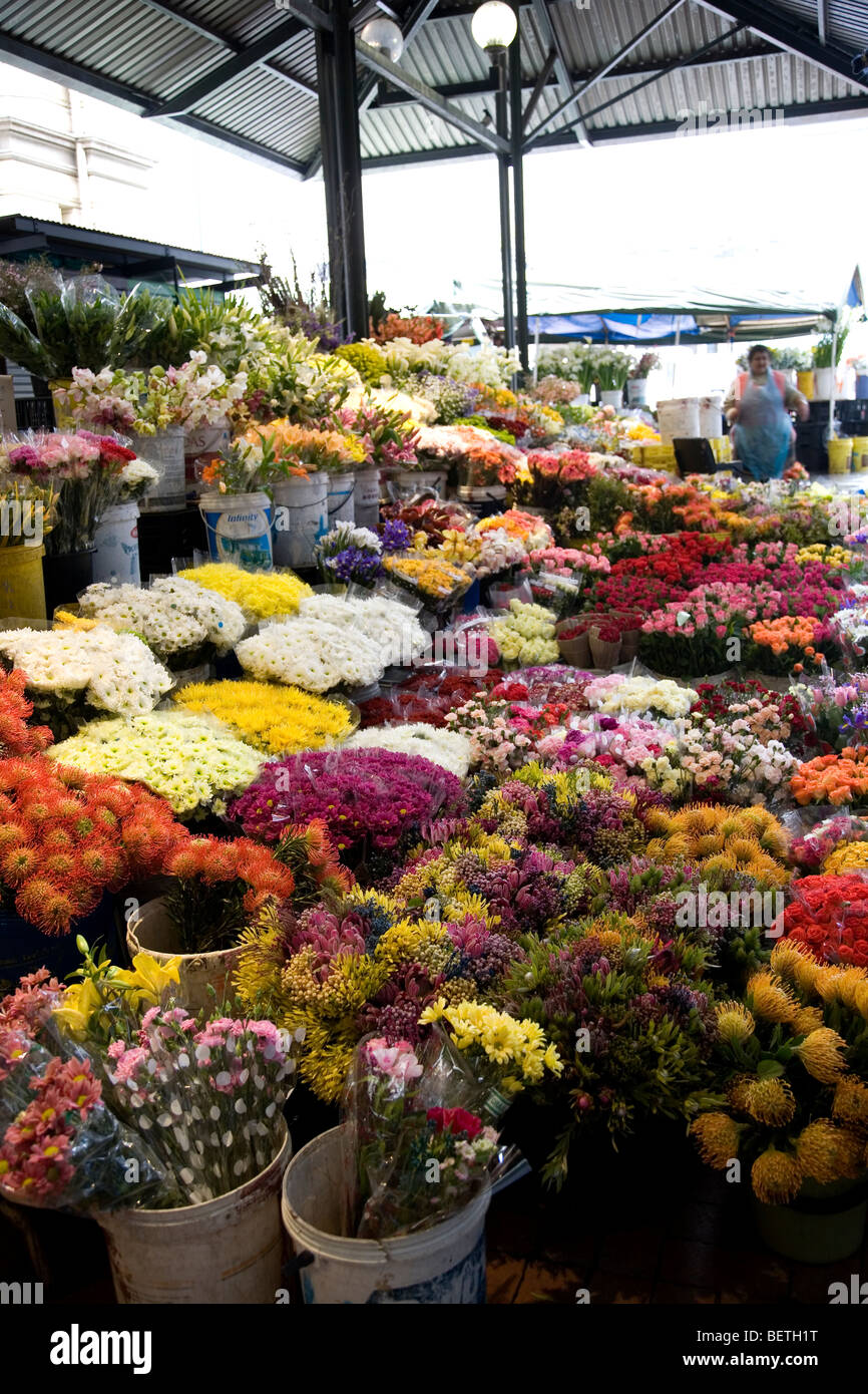 Cape Town Flower market Stock Photo Alamy