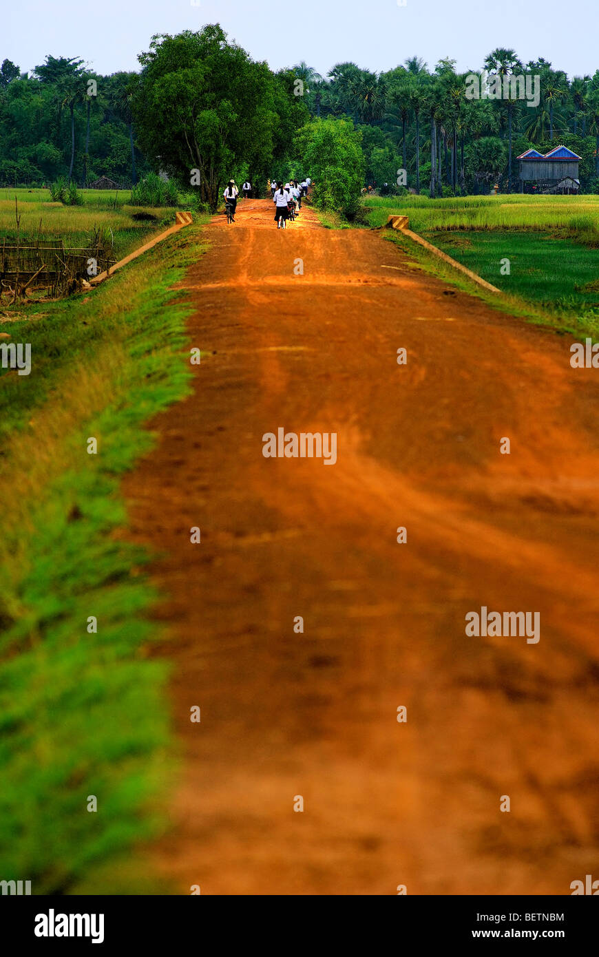 Rural life in Cambodia Stock Photo Alamy