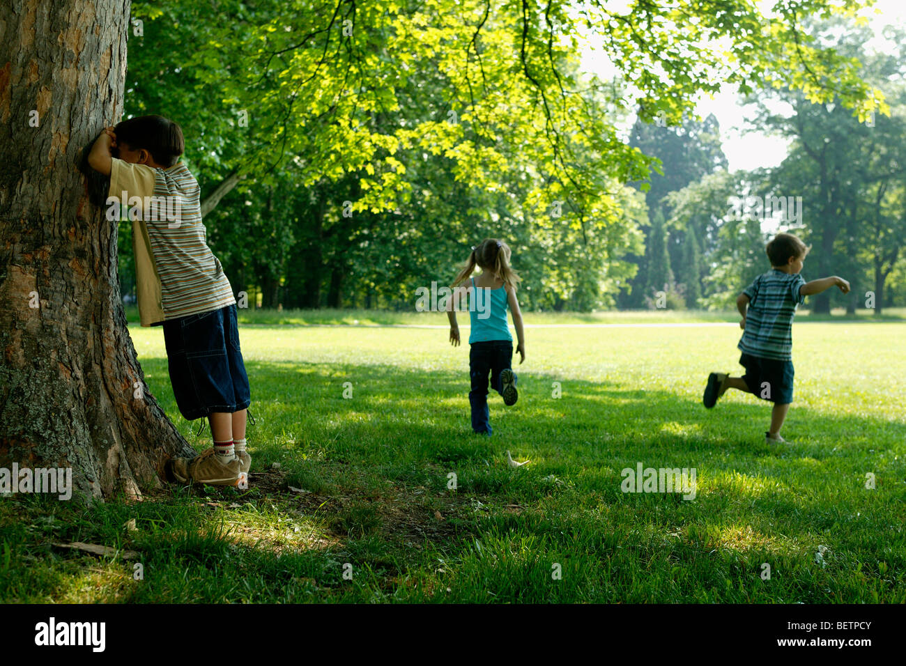 Girls playing hide and seek - Stock Image - F022/6980 - Science Photo  Library