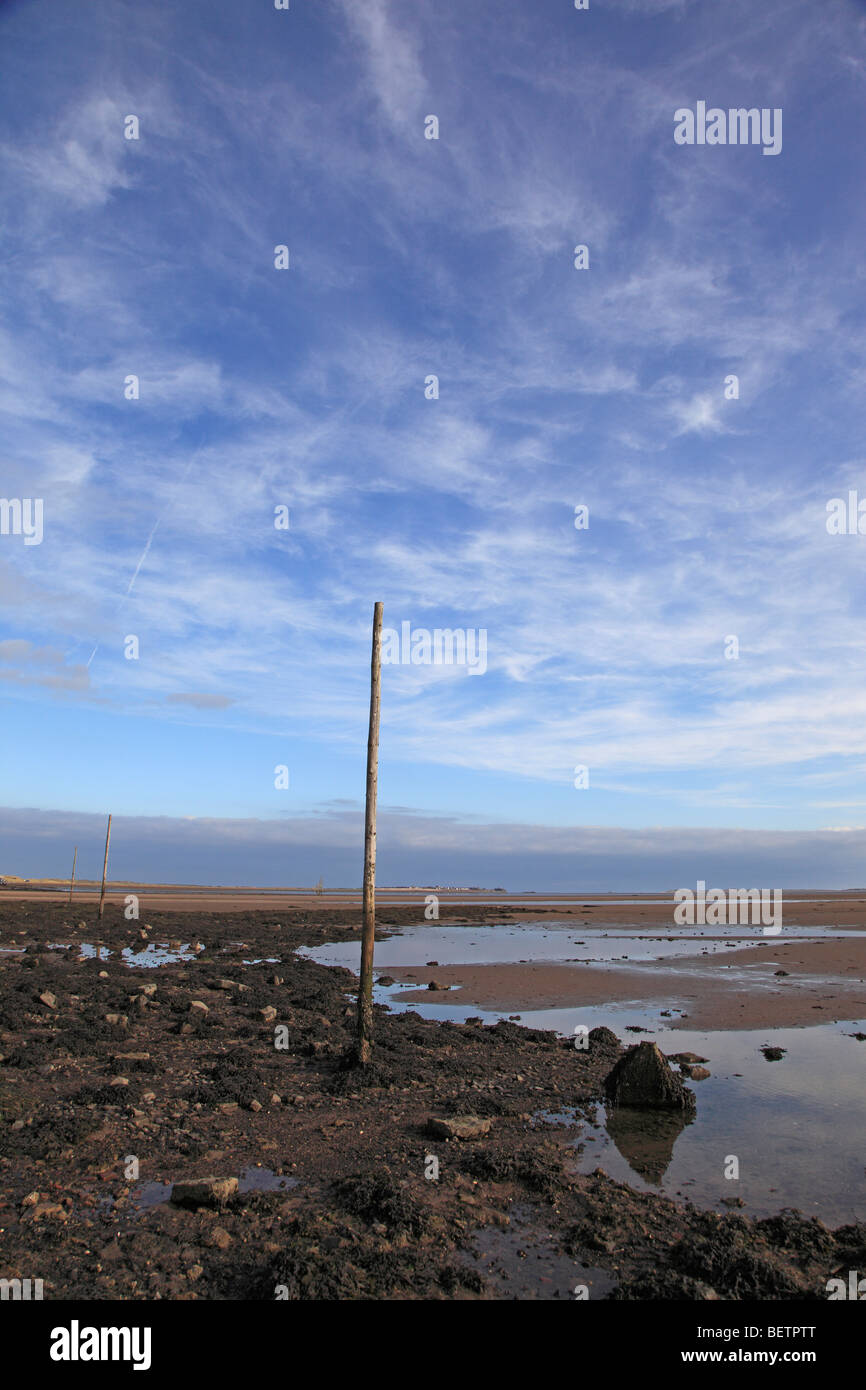 Holy Island causeway, Northumberland, England Stock Photo Alamy