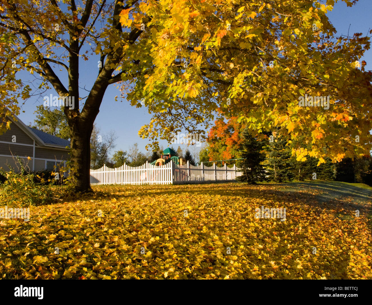 Autumn scene in NY State. Stock Photo